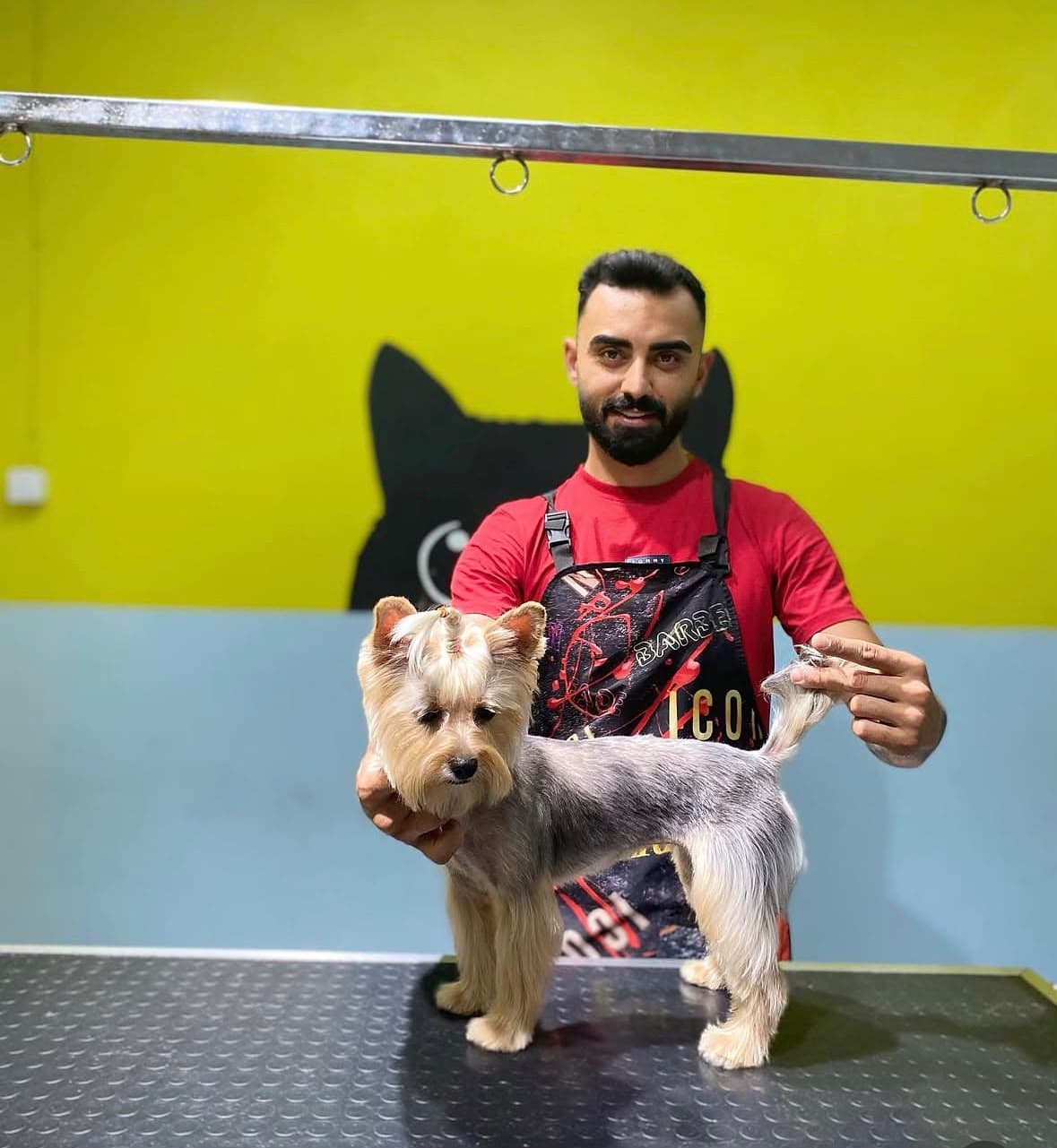 A Patim Pet Kuaför groomer working on a Yorkshire Terrier